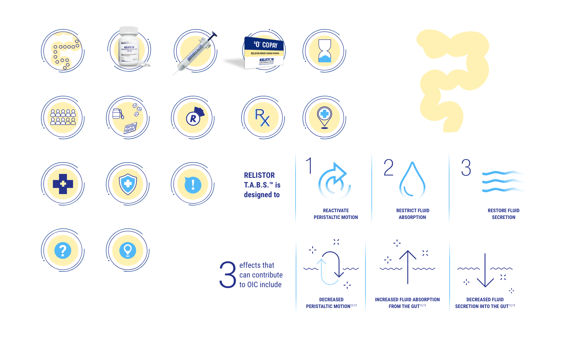 Lottie animation and iconography system
